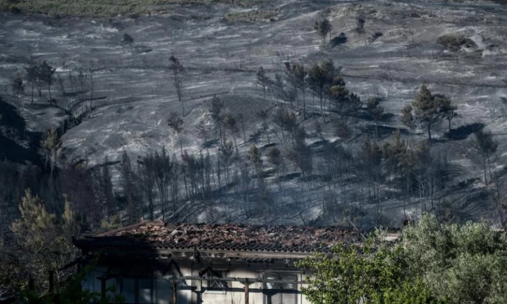 Φωτιά στα Γεράνεια Όρη: Κρανίου τόπος μετά την πύρινη λαίλαπα